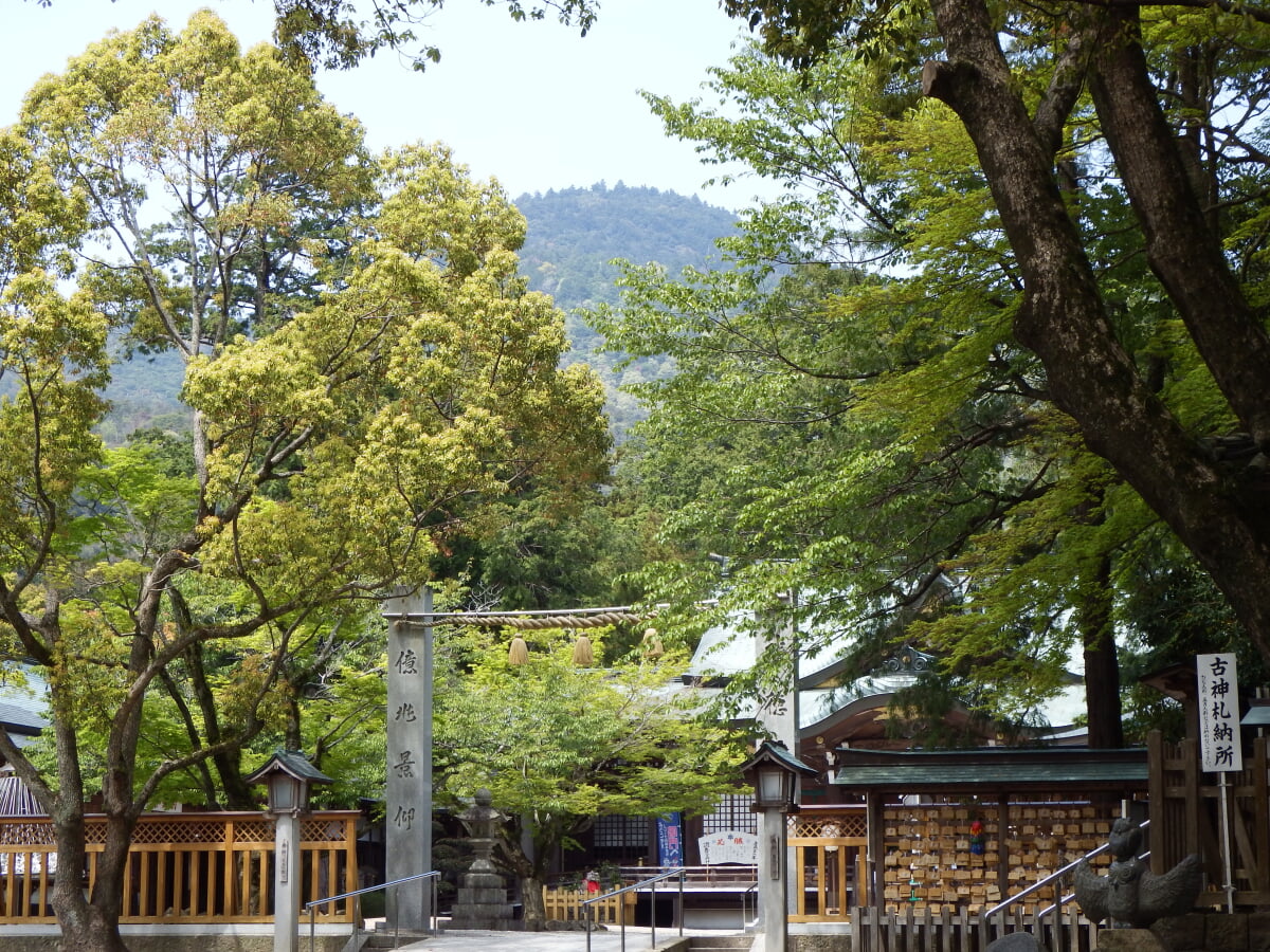 大麻比古神社の写真1