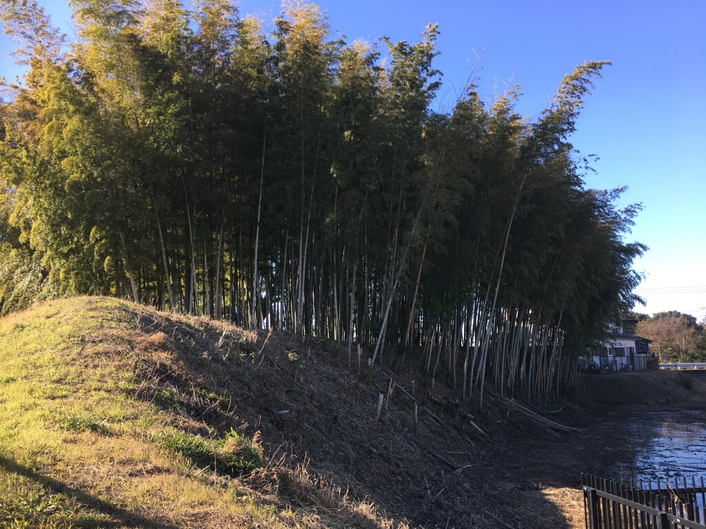 古河城跡の写真2