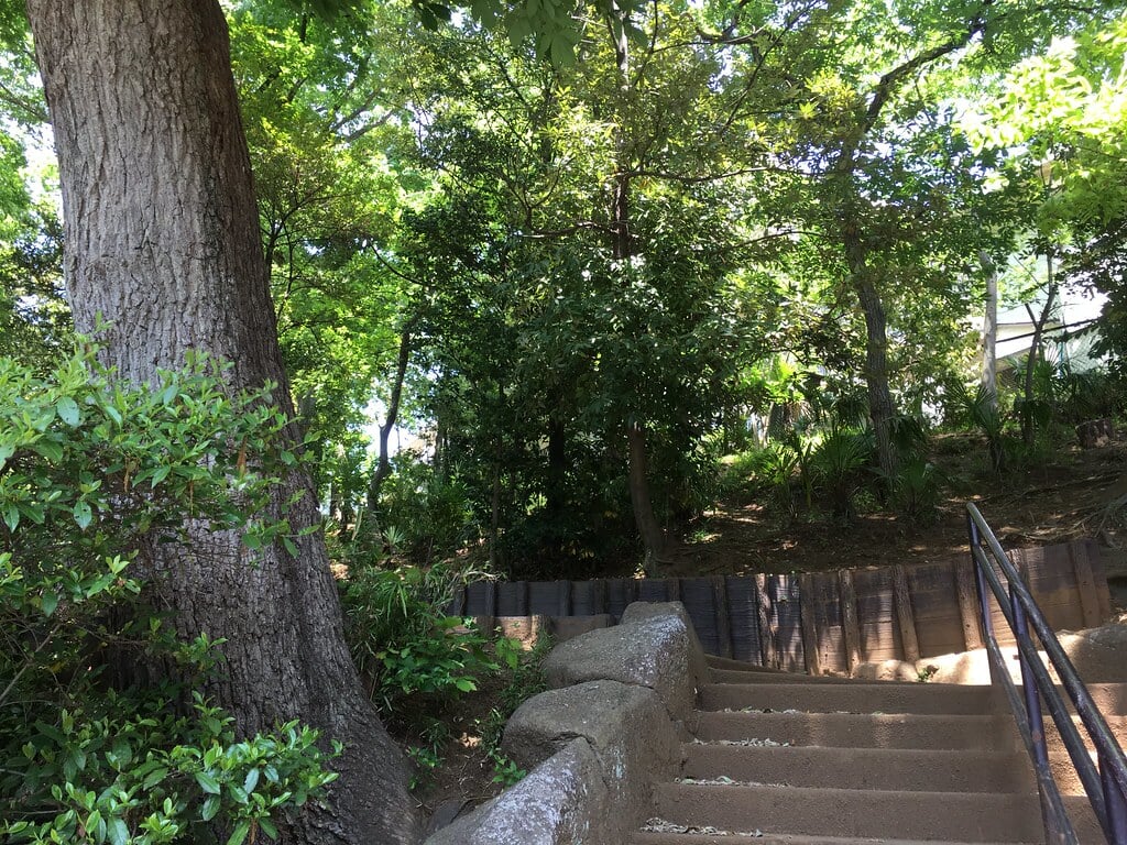 天神下公園の写真2