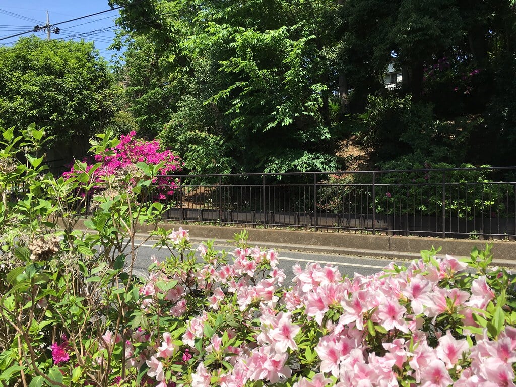 天神下公園の写真3