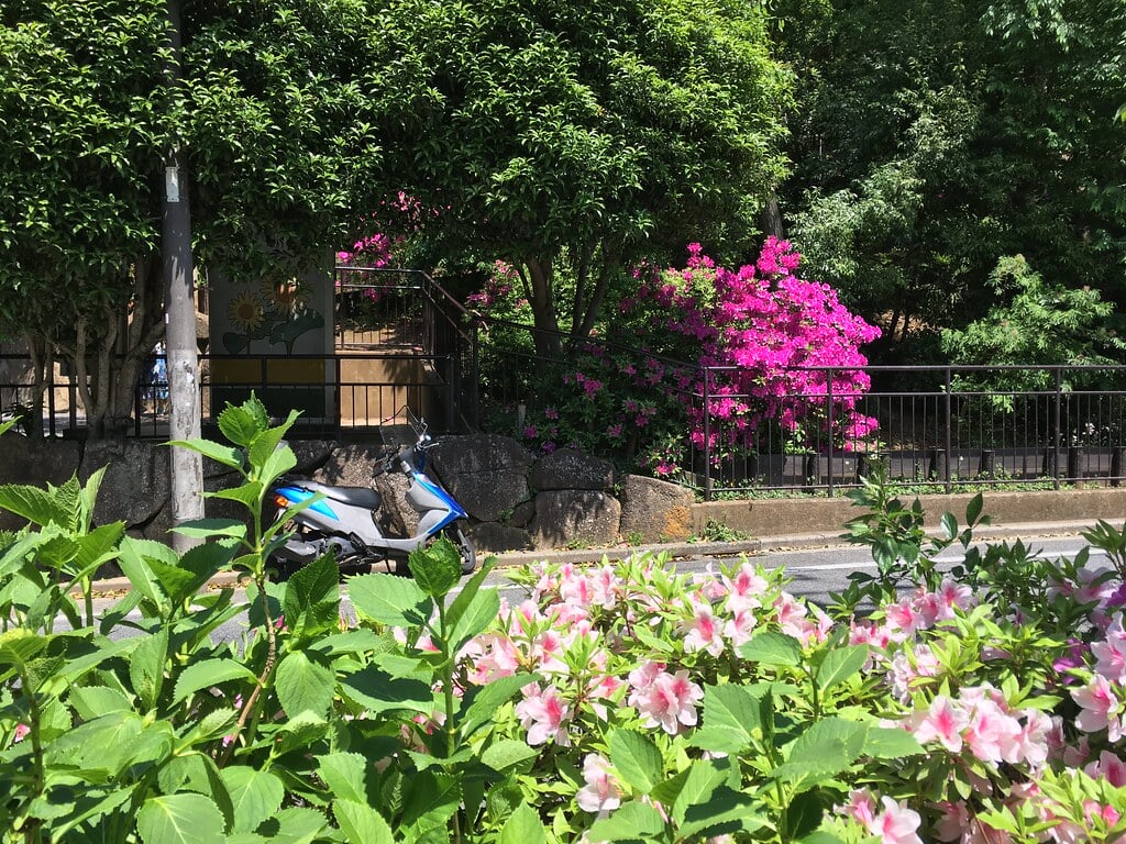 天神下公園の写真5