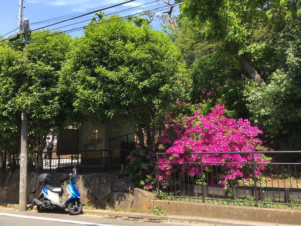 天神下公園の写真6