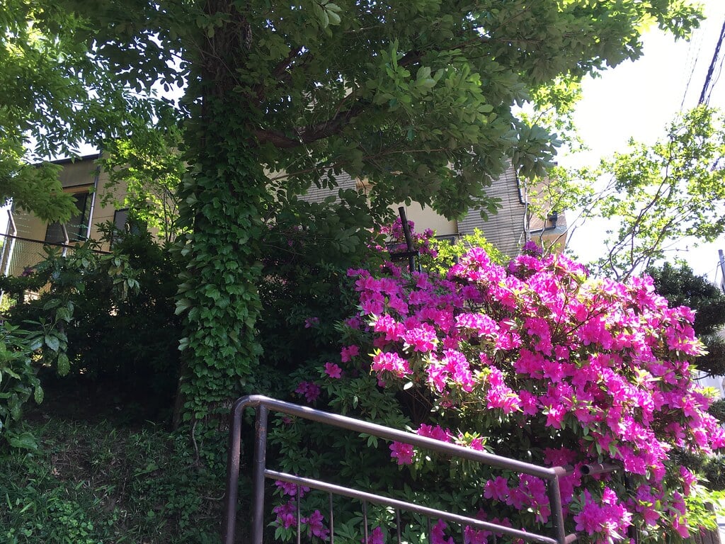 天神下公園の写真7