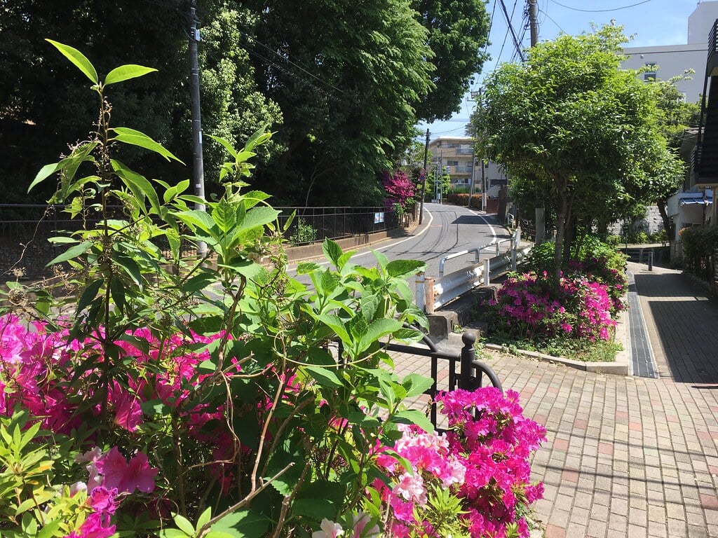 天神下公園の写真1
