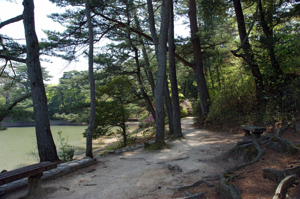 再度公園の写真2