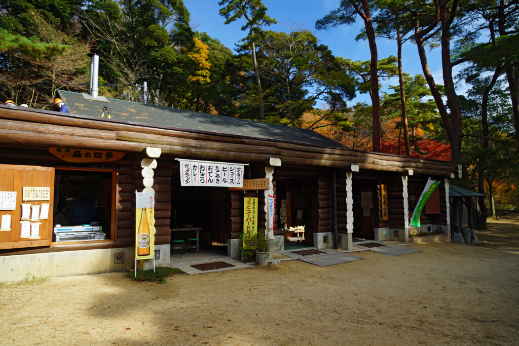 再度公園の写真7