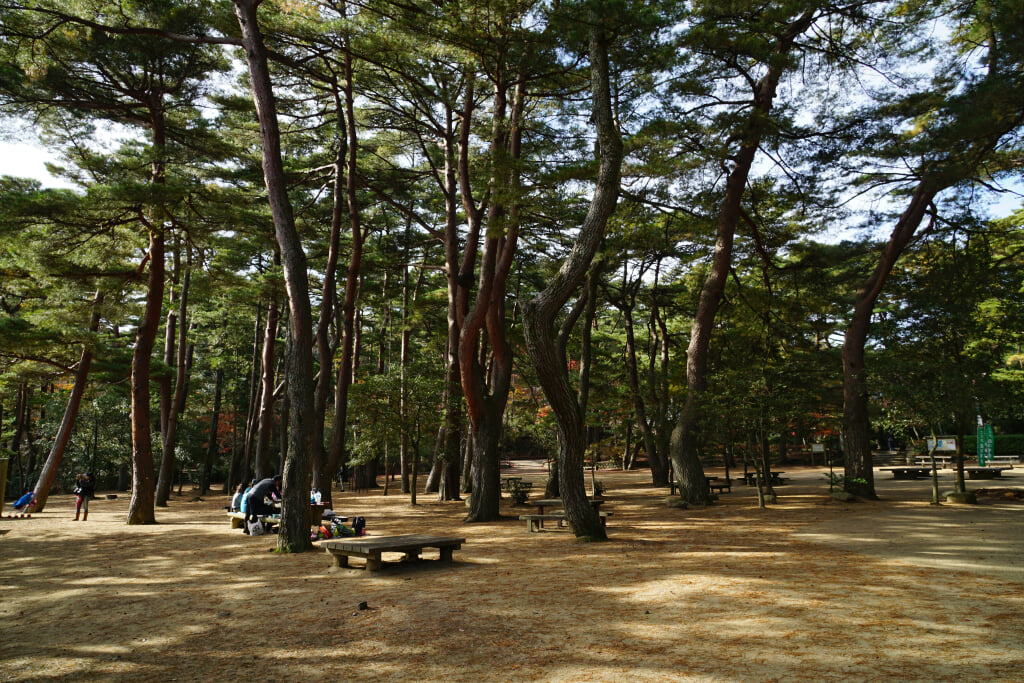 再度公園の写真9