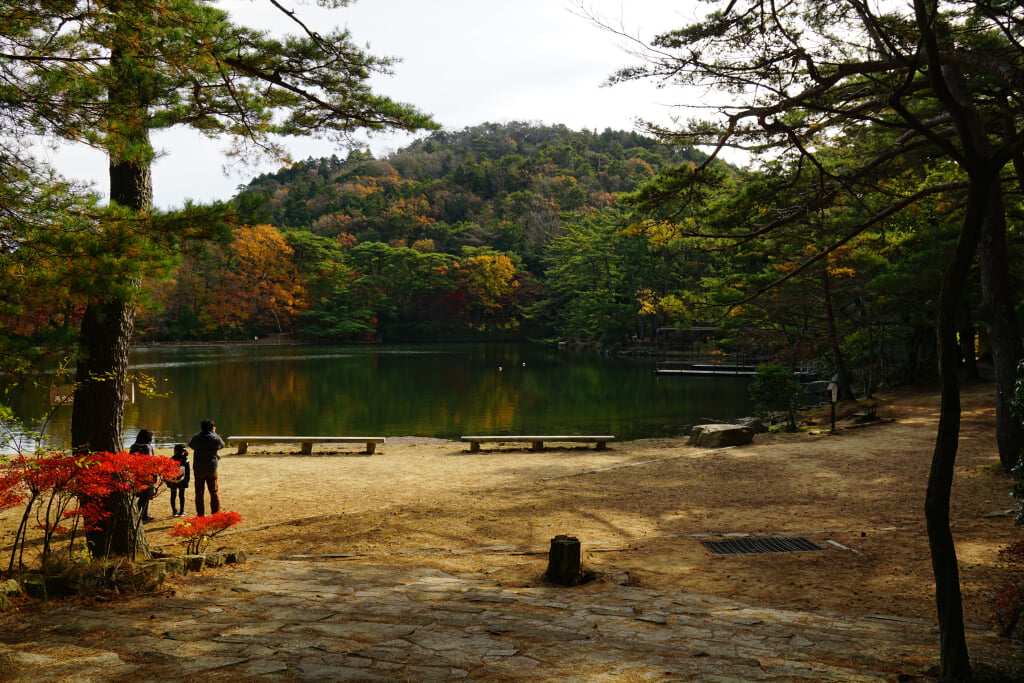 再度公園の写真10