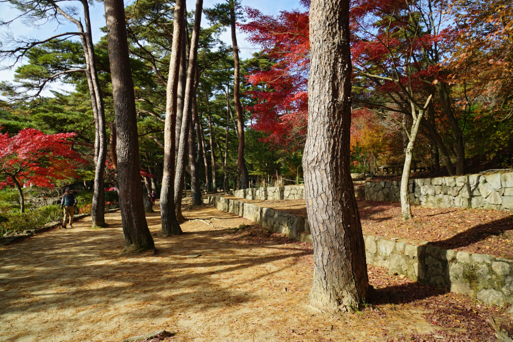 再度公園の写真11