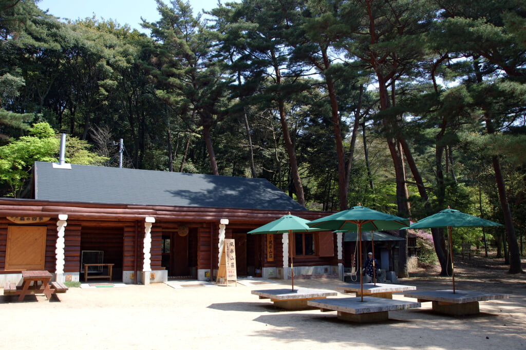 再度公園の写真12