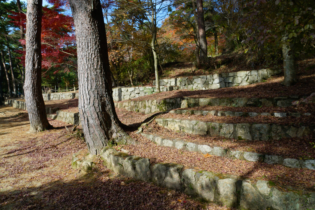 再度公園の写真13