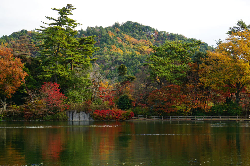 再度公園の写真14