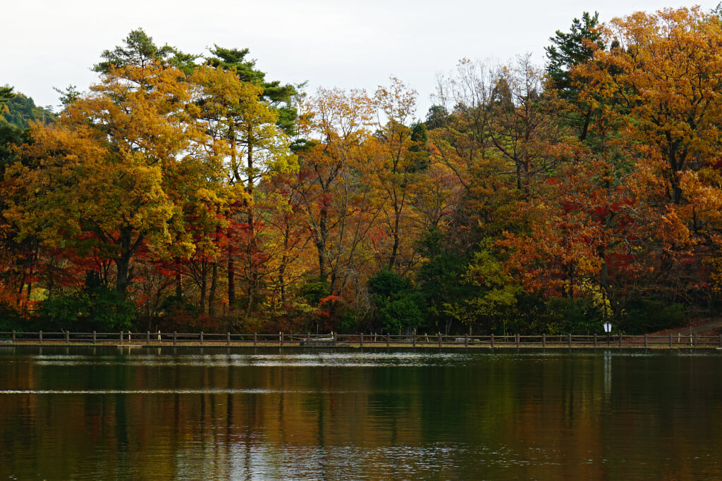再度公園の写真16