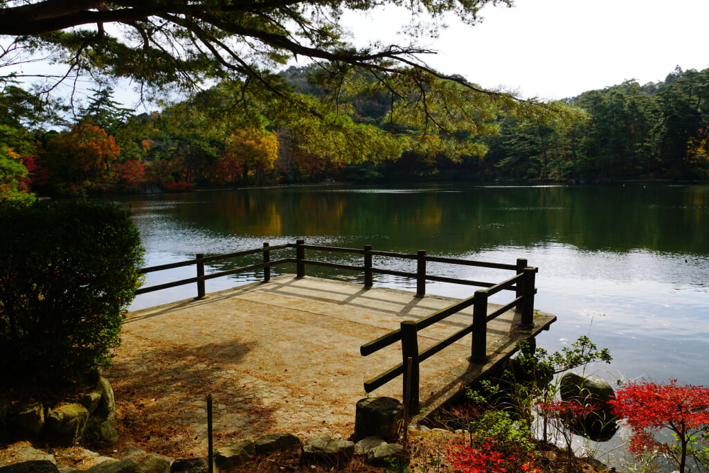 再度公園の写真17