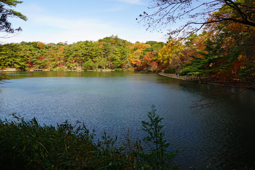 再度公園の写真19