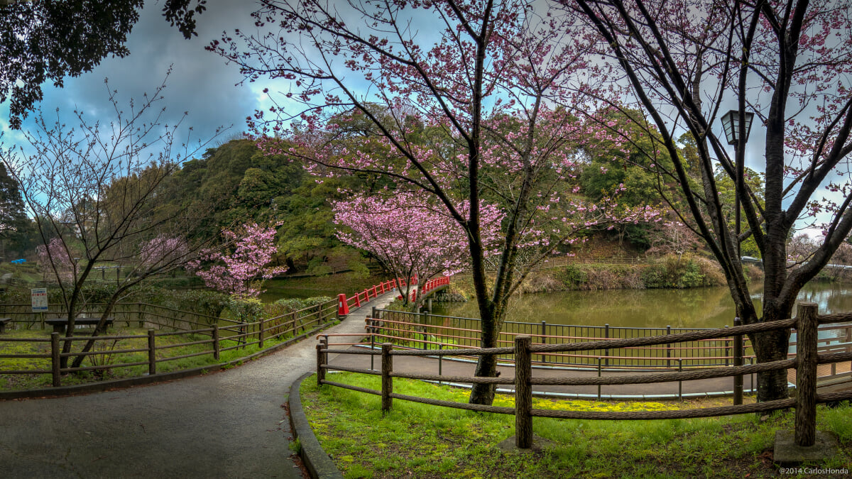 亀山公園の写真1