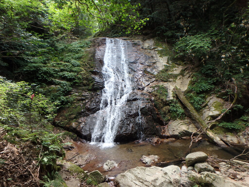 清竜の滝の写真1