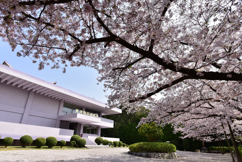 とこなめ陶の森の写真2