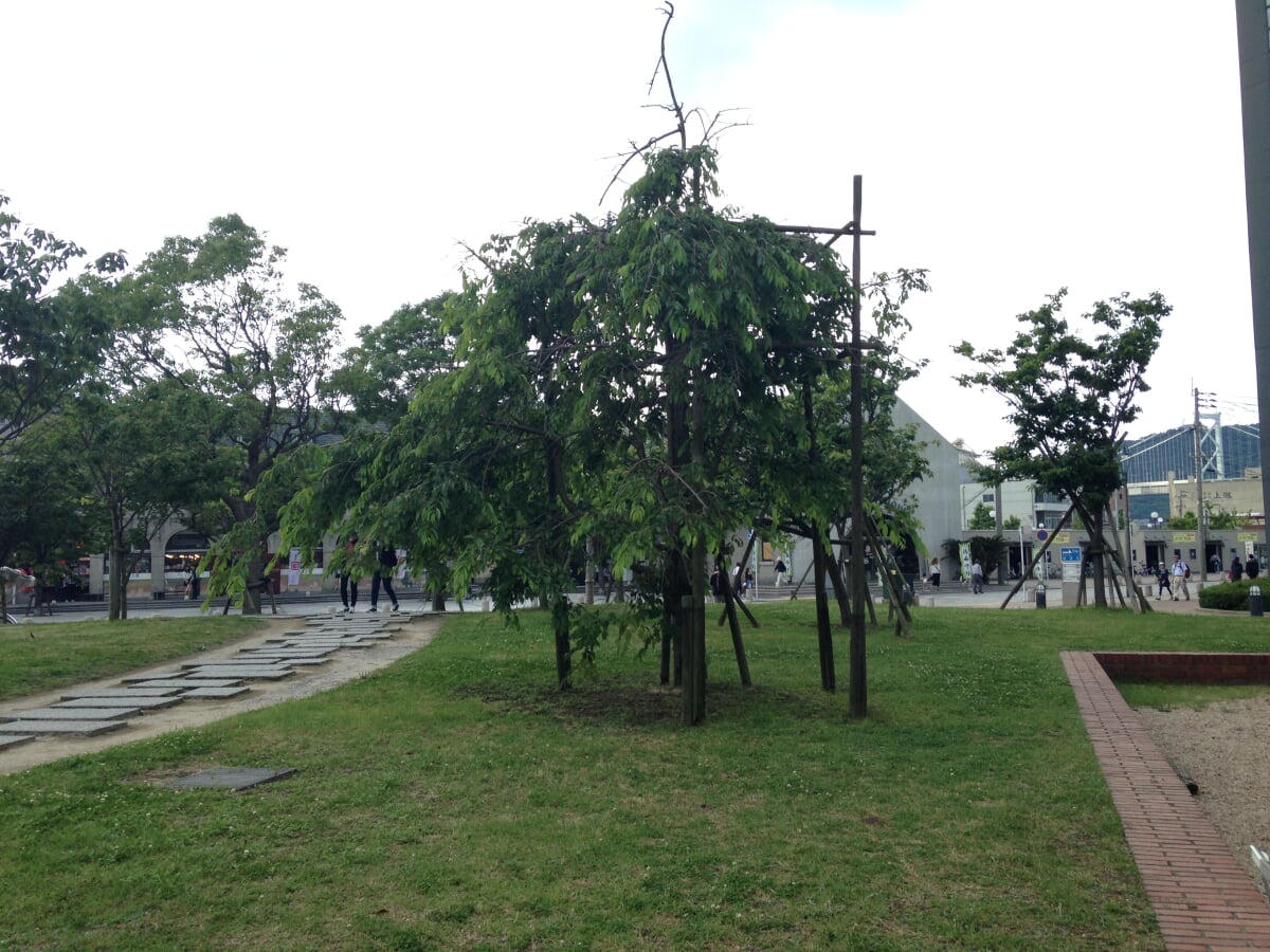 国際友好記念図書館の写真7