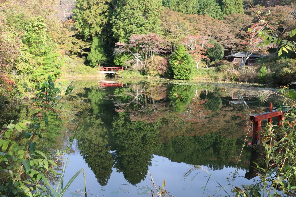 榛原鳥見山公園の写真5