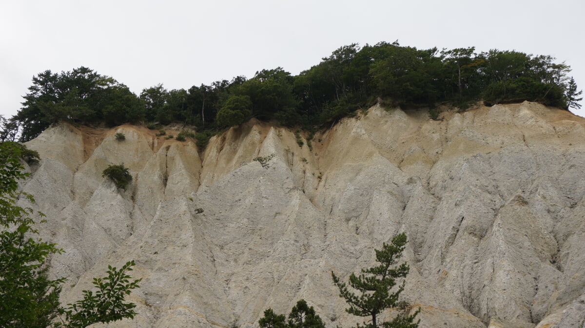 日本キャニオンの写真4
