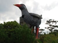 ヤンバルクイナ展望台