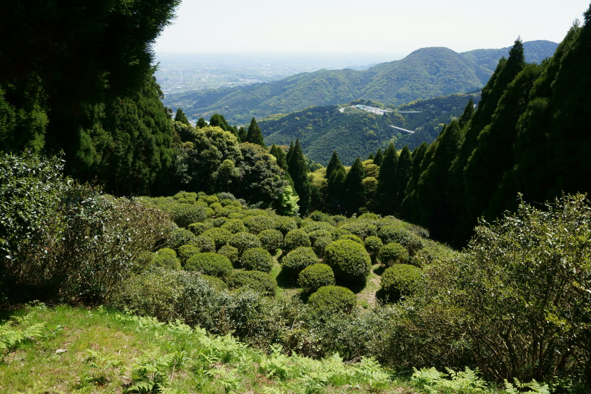 道の駅 吉野ヶ里の写真2