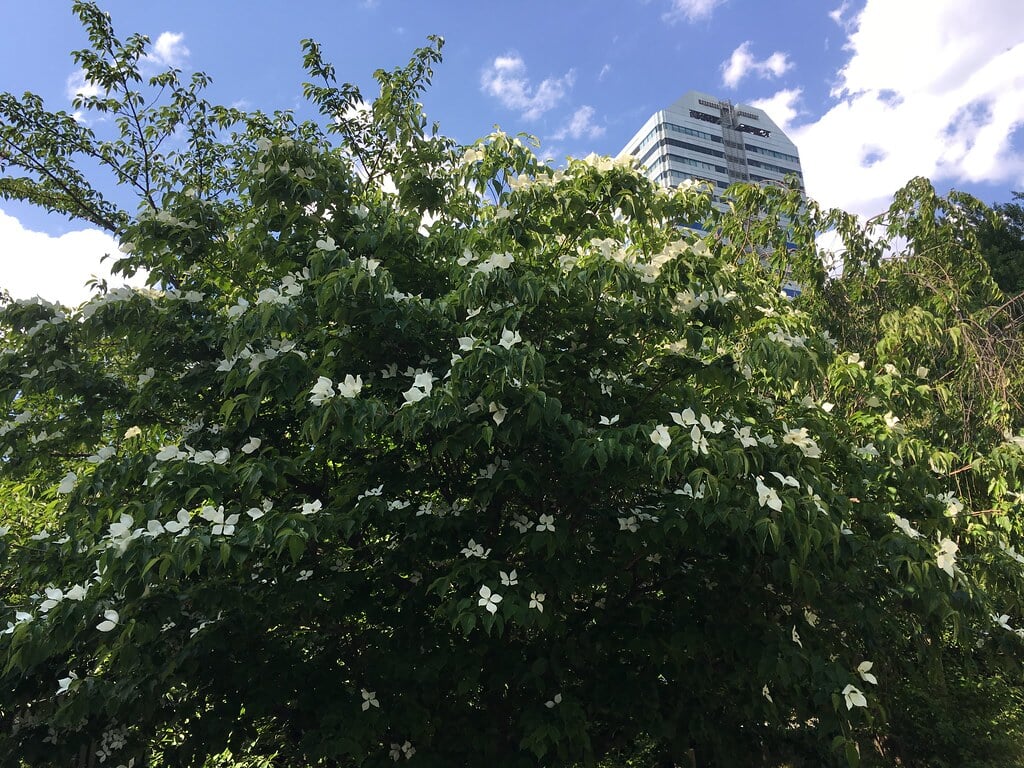 清水谷公園の写真2