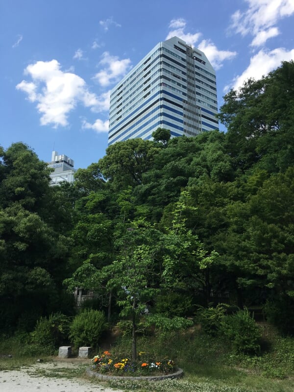 清水谷公園の写真4