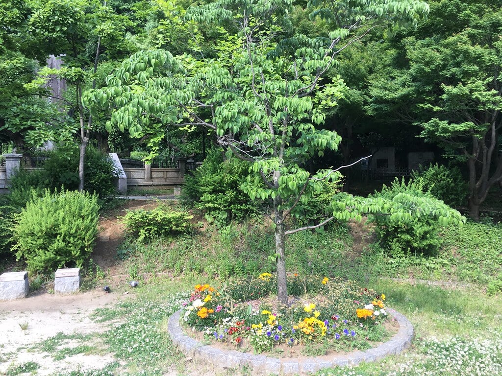 清水谷公園の写真5