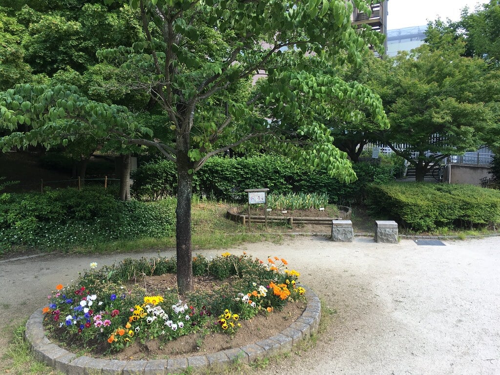 清水谷公園の写真6