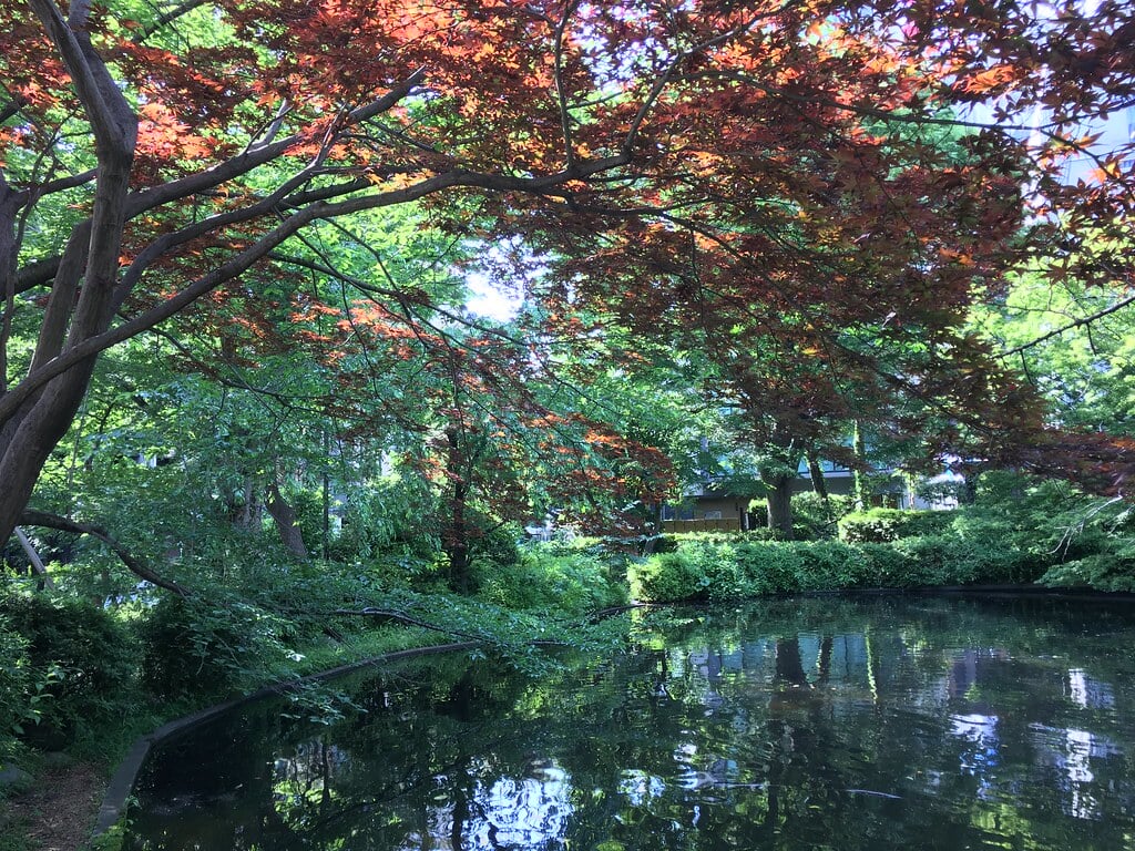 清水谷公園の写真7