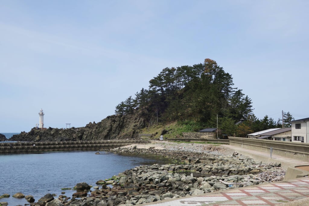 マリンパークねずがせきの写真1