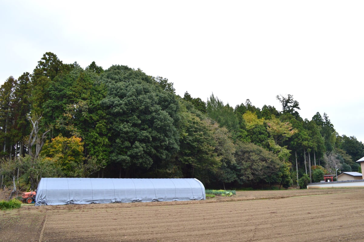 梵天山古墳の写真3