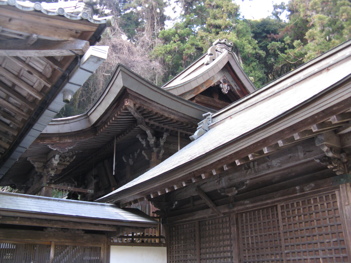 瀧安寺の写真11