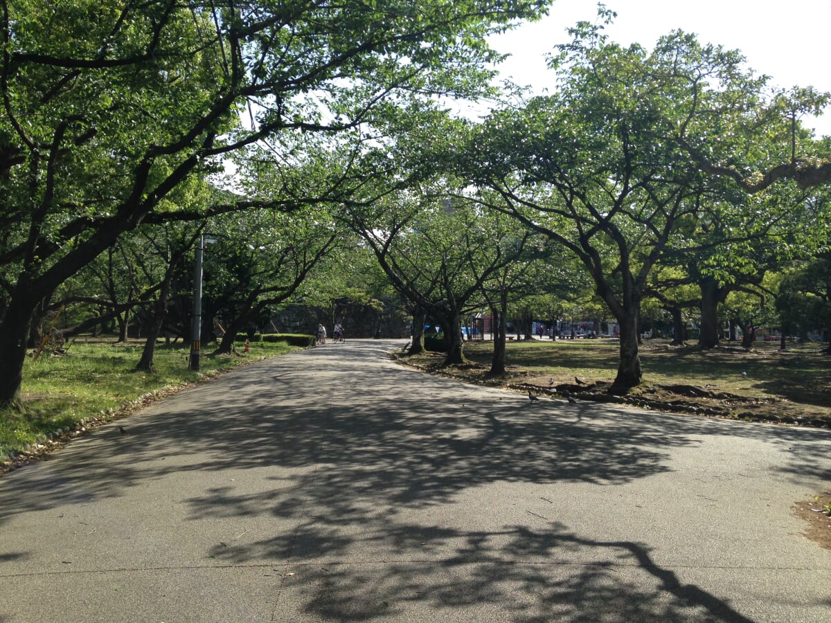 徳島中央公園の写真3