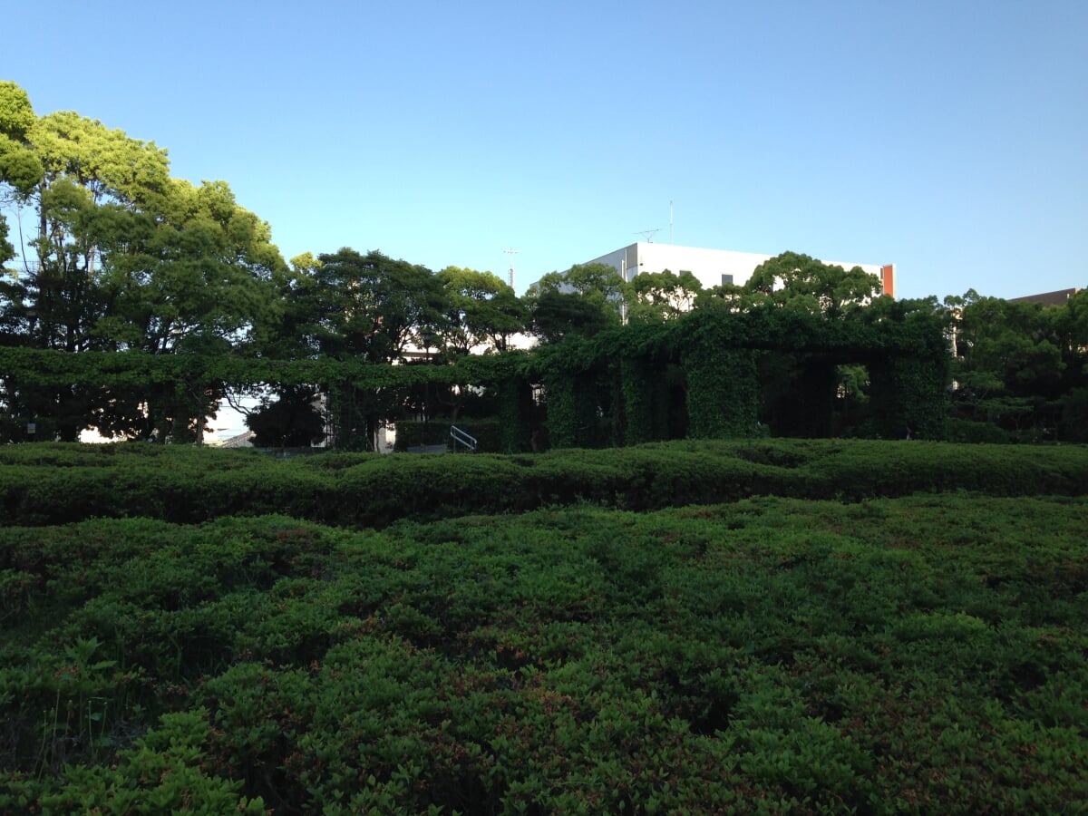 徳島中央公園の写真5