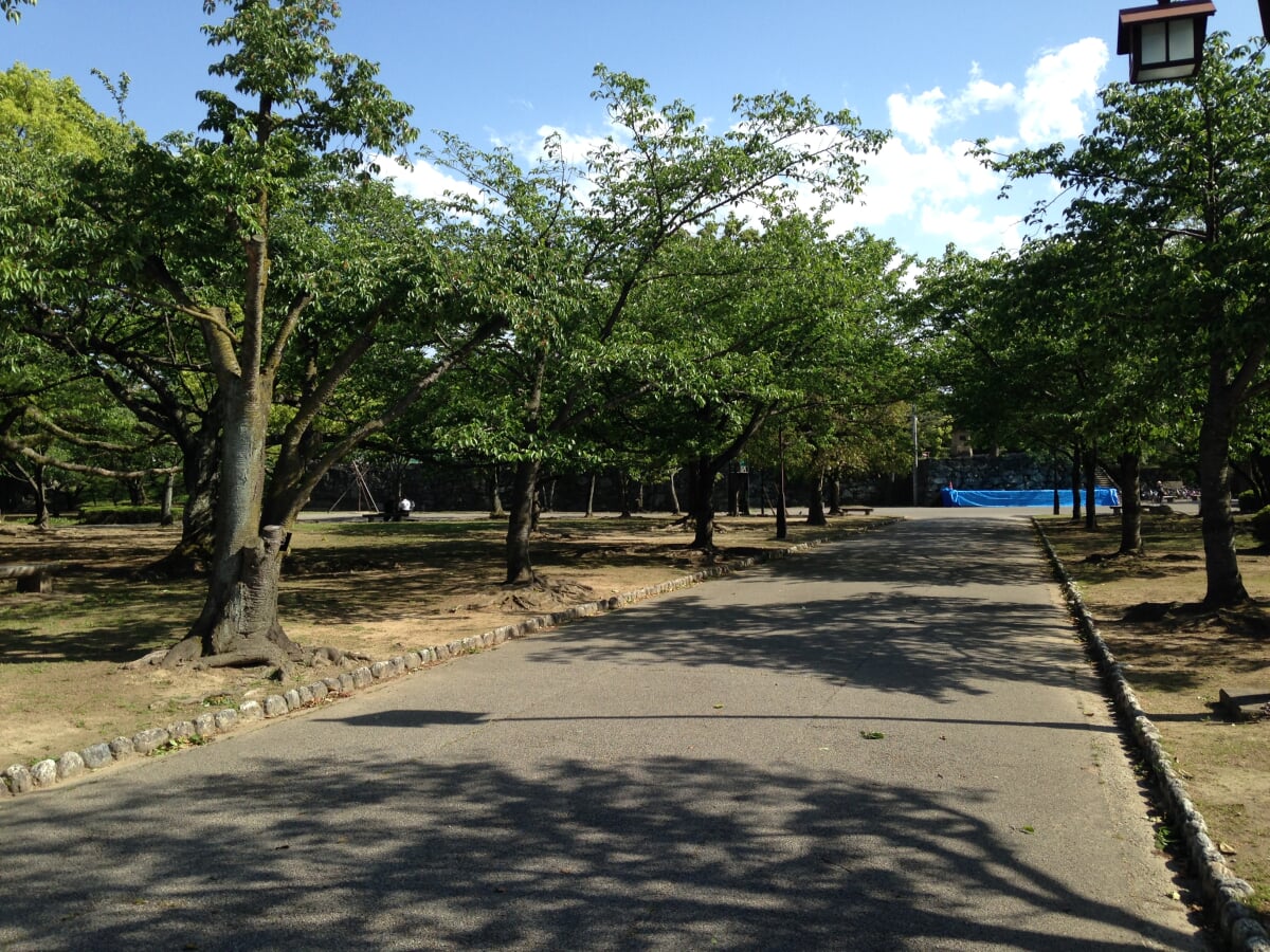 徳島中央公園の写真6