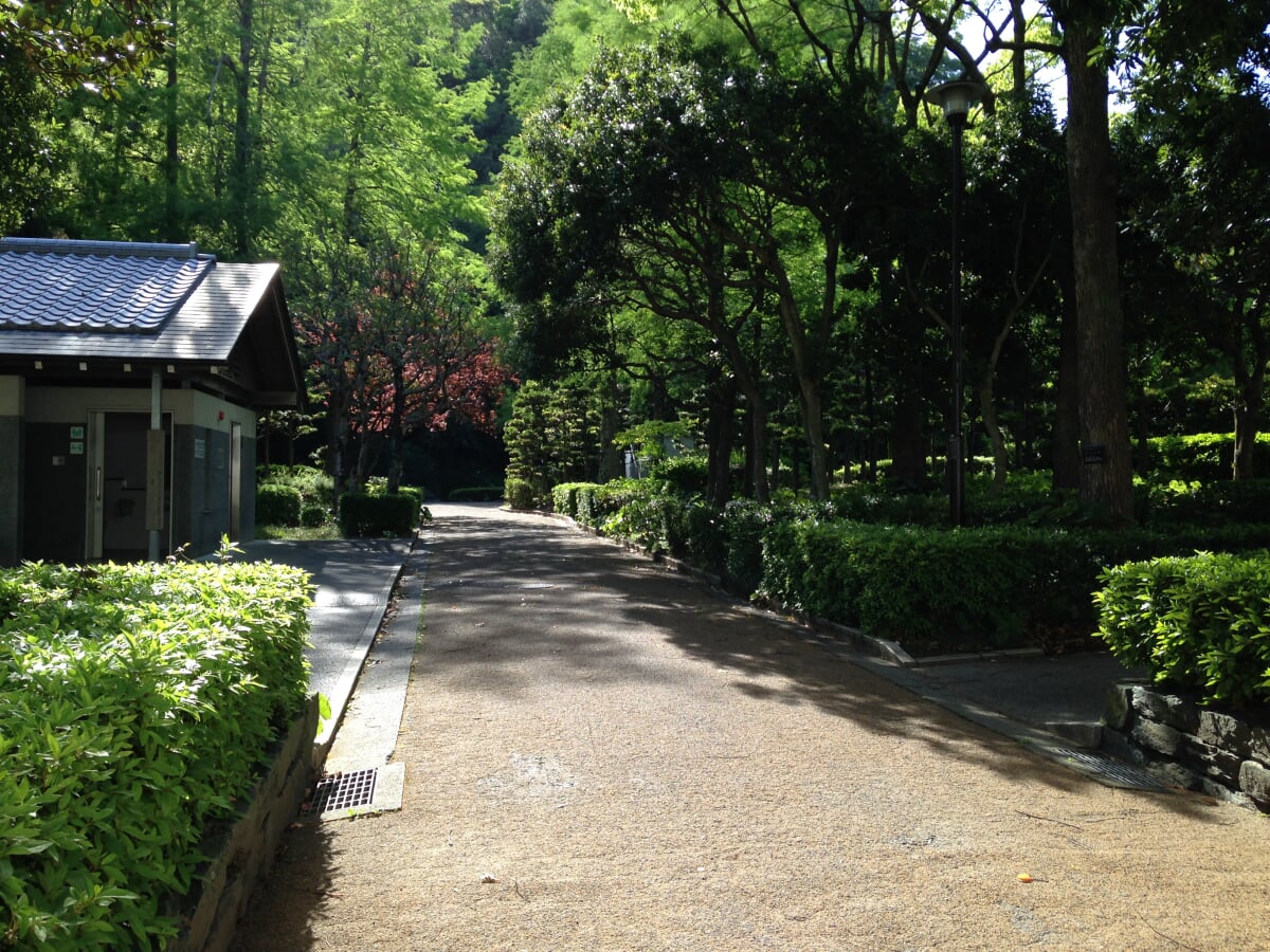 徳島中央公園の写真8