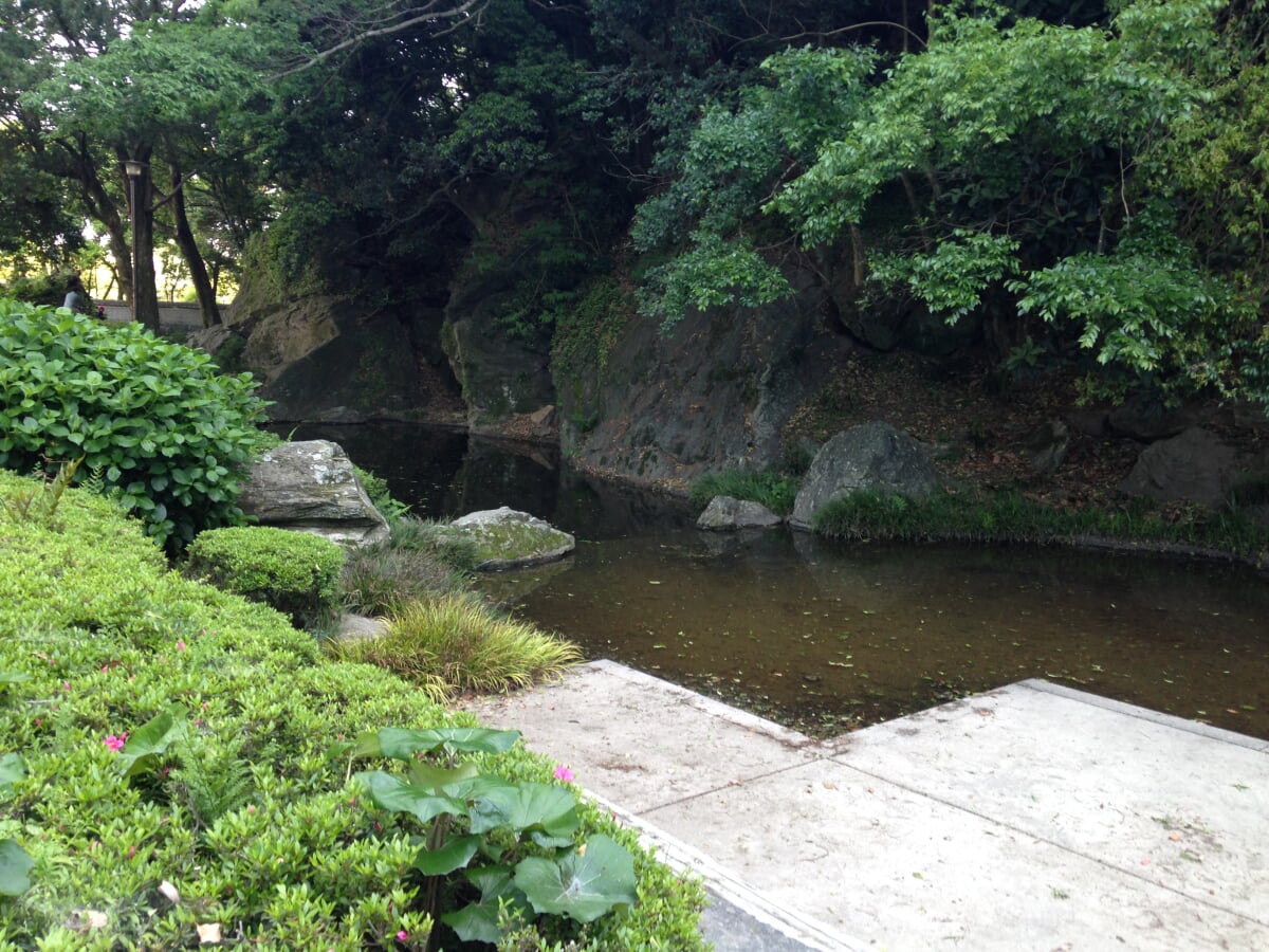 徳島中央公園の写真9