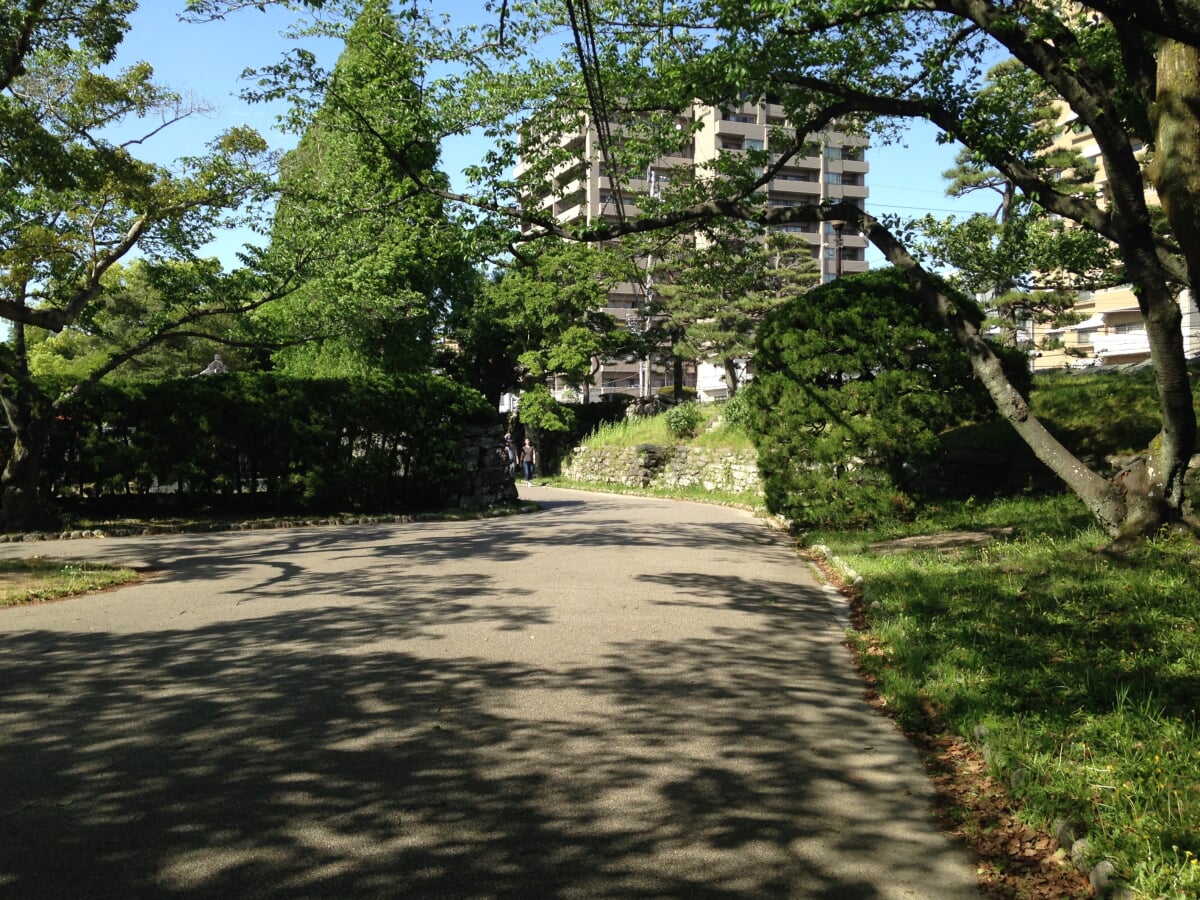 徳島中央公園の写真10