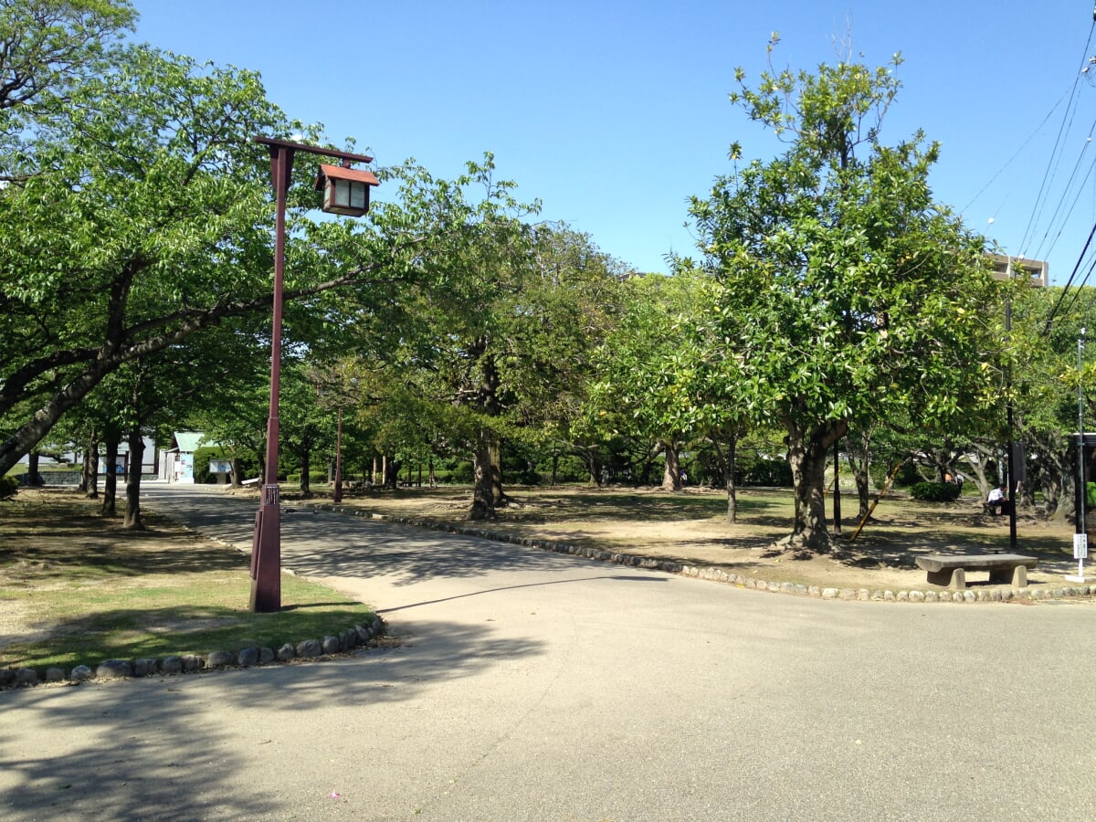 徳島中央公園の写真11
