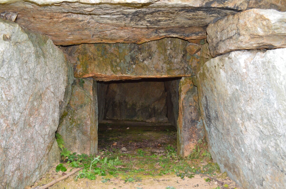 朝倉古墳の写真2