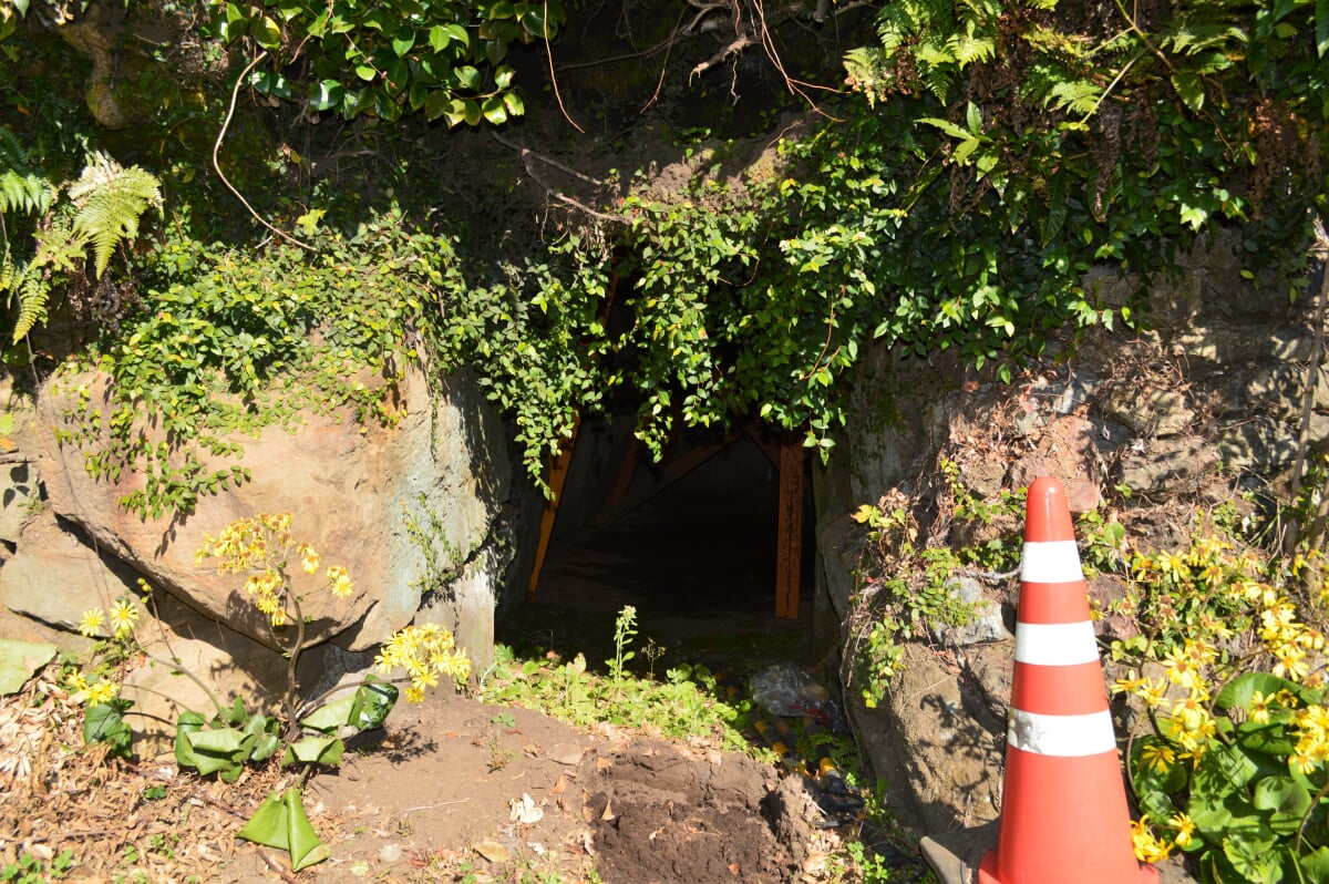 新改古墳の写真3