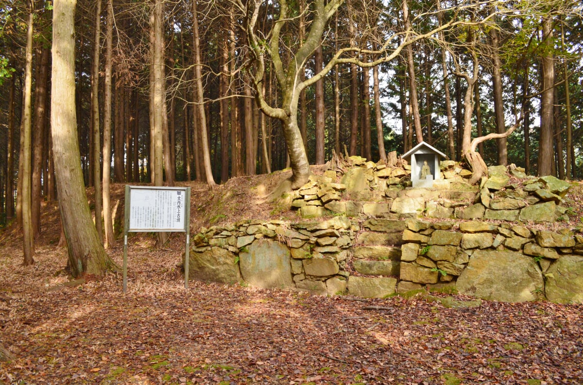 大内氷上古墳の写真3