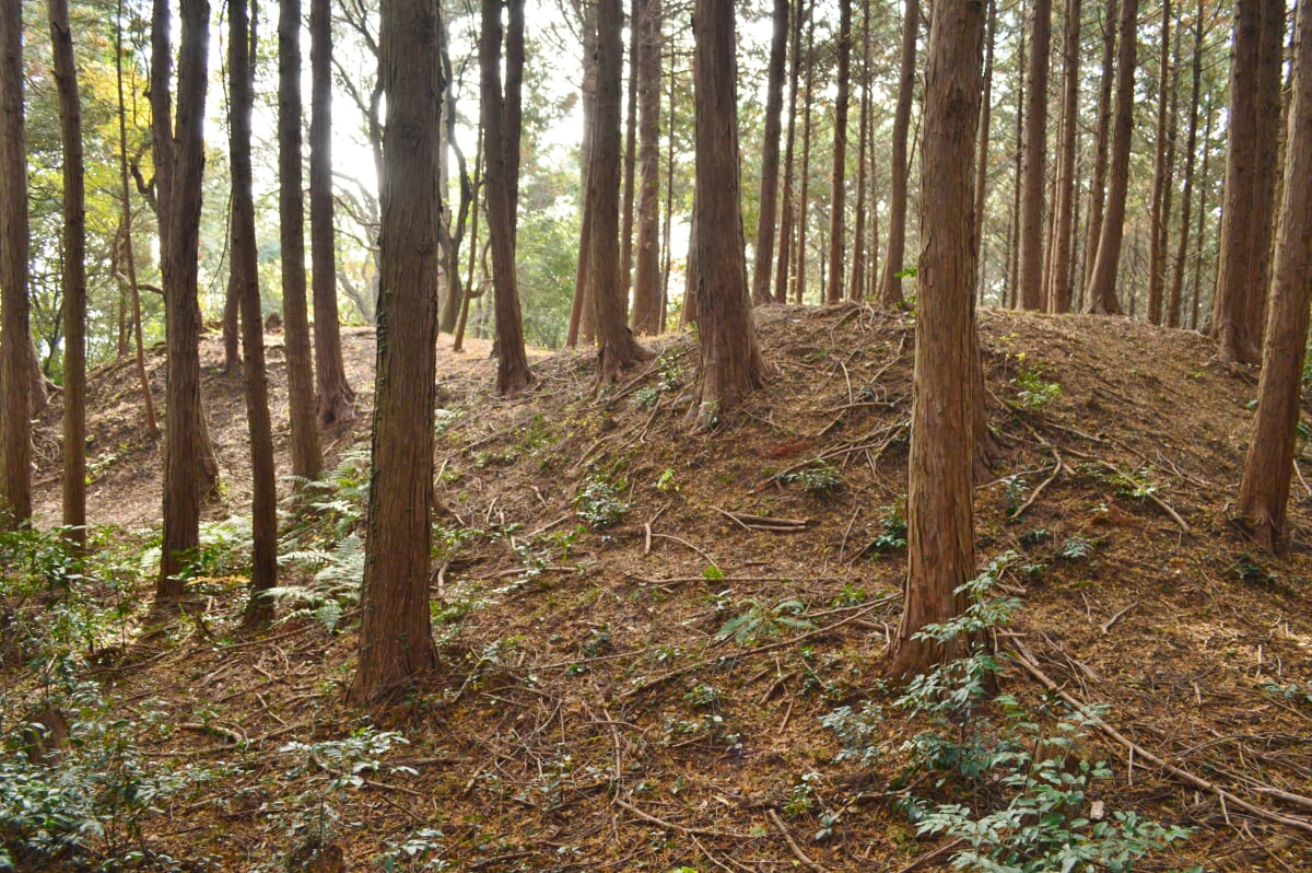 大内氷上古墳の写真4