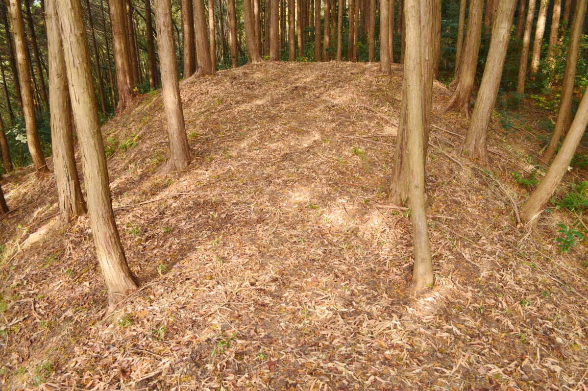 大内氷上古墳の写真5