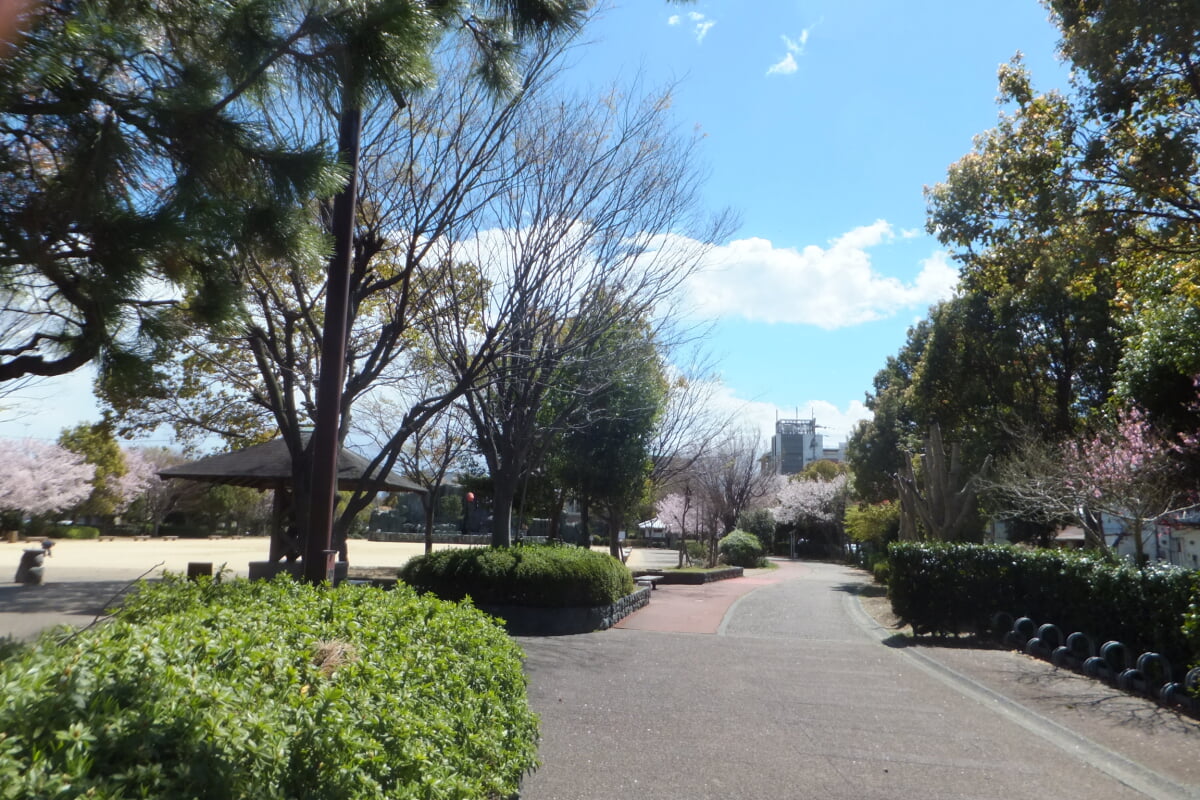 小松島ステーションパークの写真8