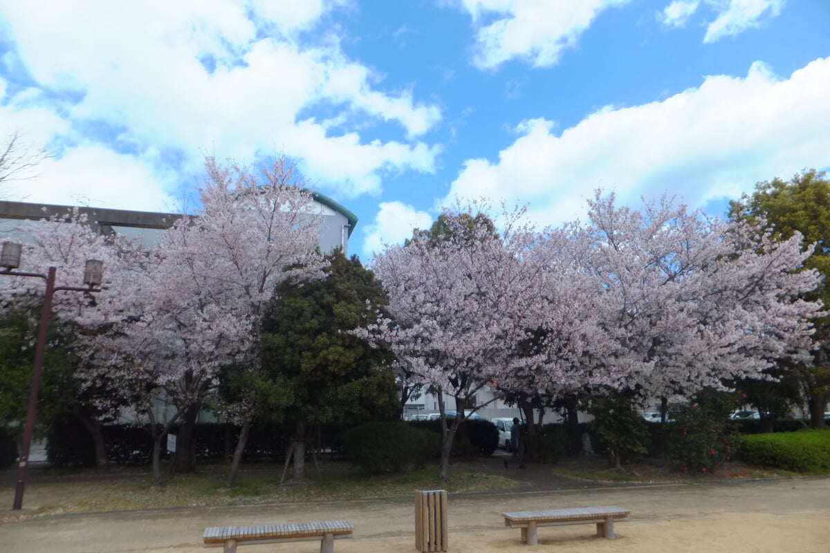 小松島ステーションパークの写真10
