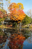 北海道護国神社